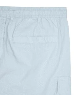 Weekend Offender Bavaro Cargo Shorts Mineral -Clothing Shop STSS23 12 BAVARO MINERAL 30502